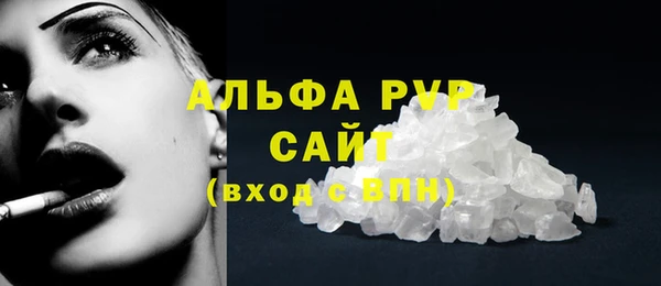 крисы Белокуриха