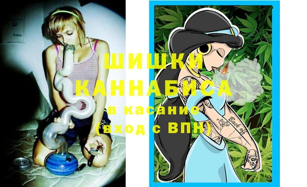 крисы Белокуриха