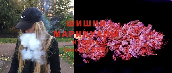 крисы Белокуриха