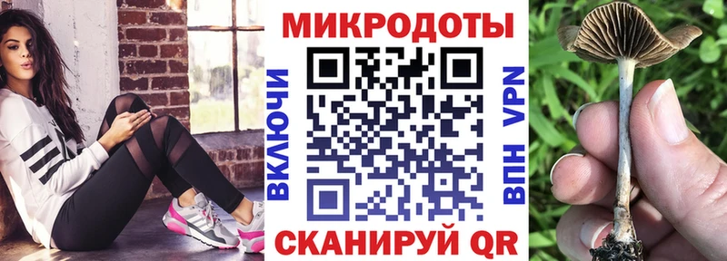 хочу наркоту  Куртамыш  Галлюциногенные грибы мухоморы 