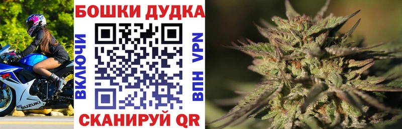 Канабис гибрид  Куртамыш 